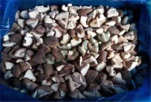 냉동 표고 버섯 Diced