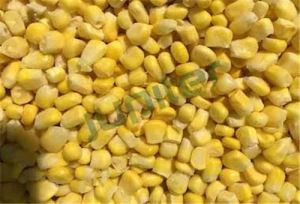 냉동 표고버섯을 유전자 변형으로 깍둑썰기한 것인가요?